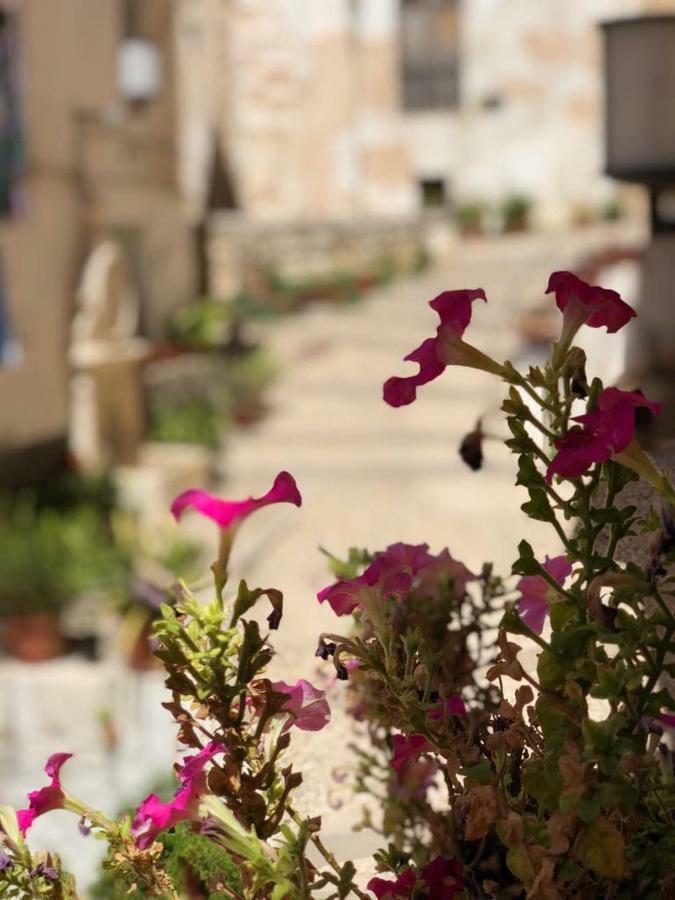 Casa Rural Mirador 보캐어렌트 외부 사진